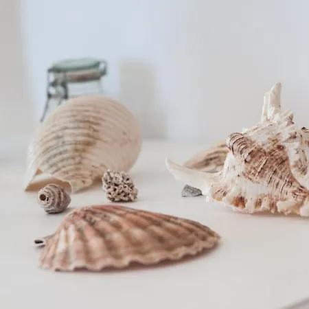 Helloapulia - Sea View Terrace Conchiglia Monopoli